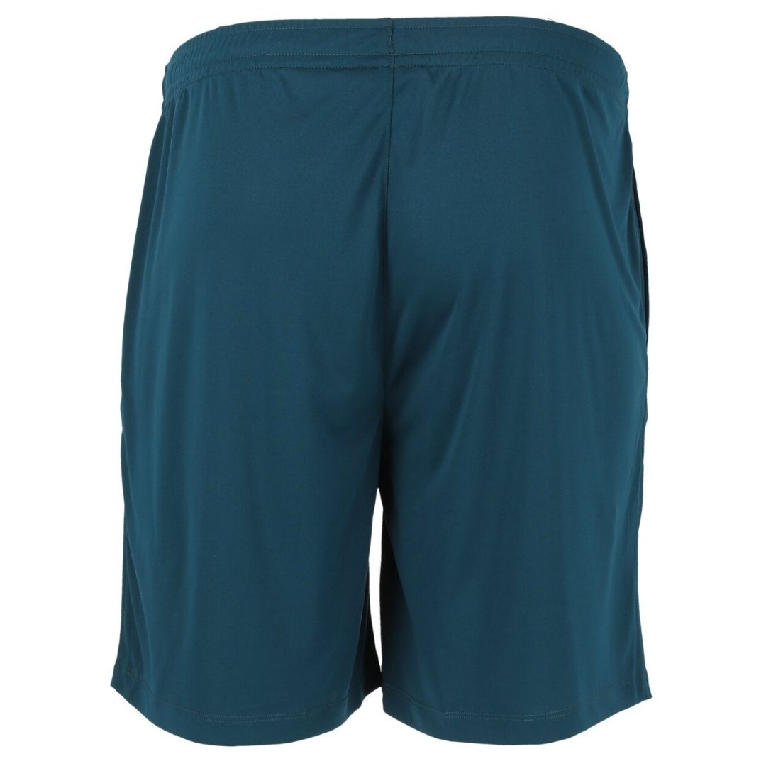 FZ Forza Landos V2 M Shorts (Poseidon)